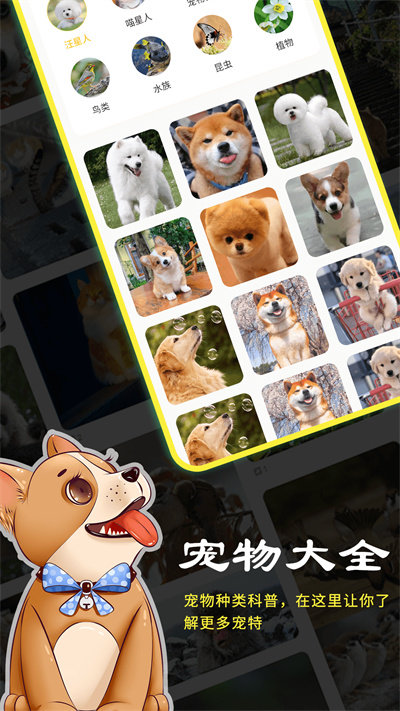 橙猫最新版