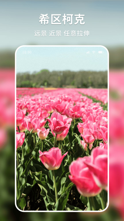 妙图看看app