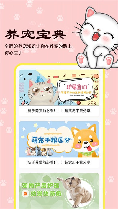 橙猫最新版