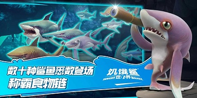 饥饿鲨游戏