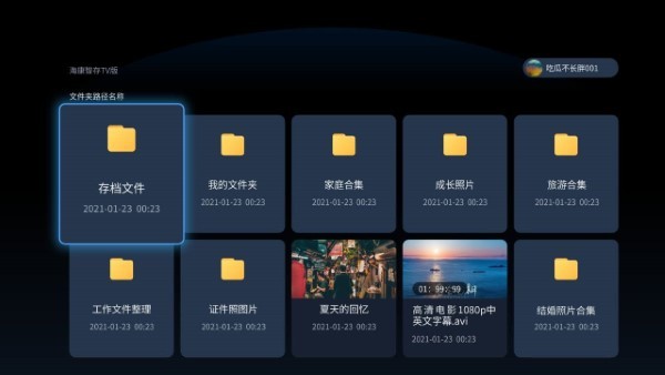海康智存tv版