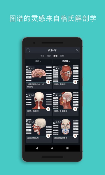 complete anatomy2025中文版