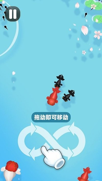 合成大锦鲤最新版