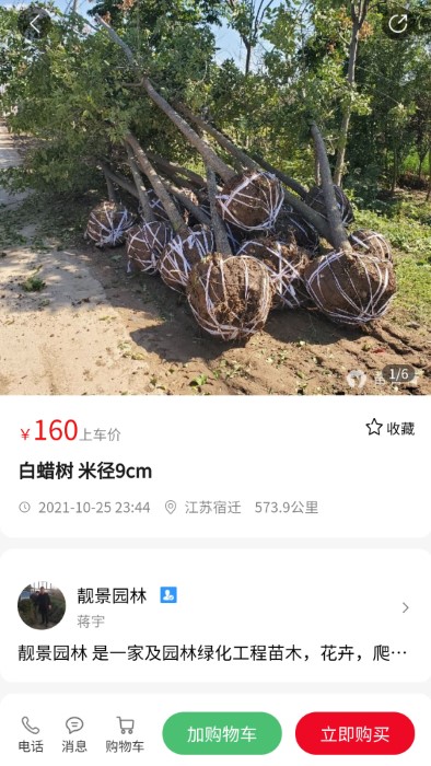 苗青青app 苗青青下载软件