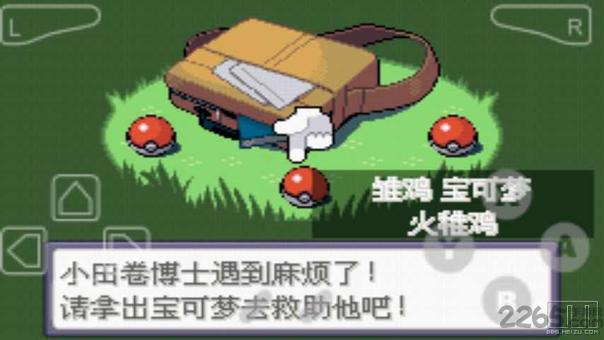 口袋妖怪绿宝石金手指代码手机版 口袋妖怪绿宝石金手指手机版下载
