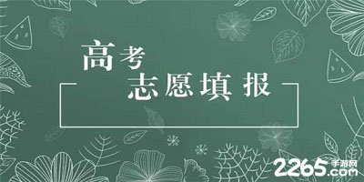 模拟填志愿软件