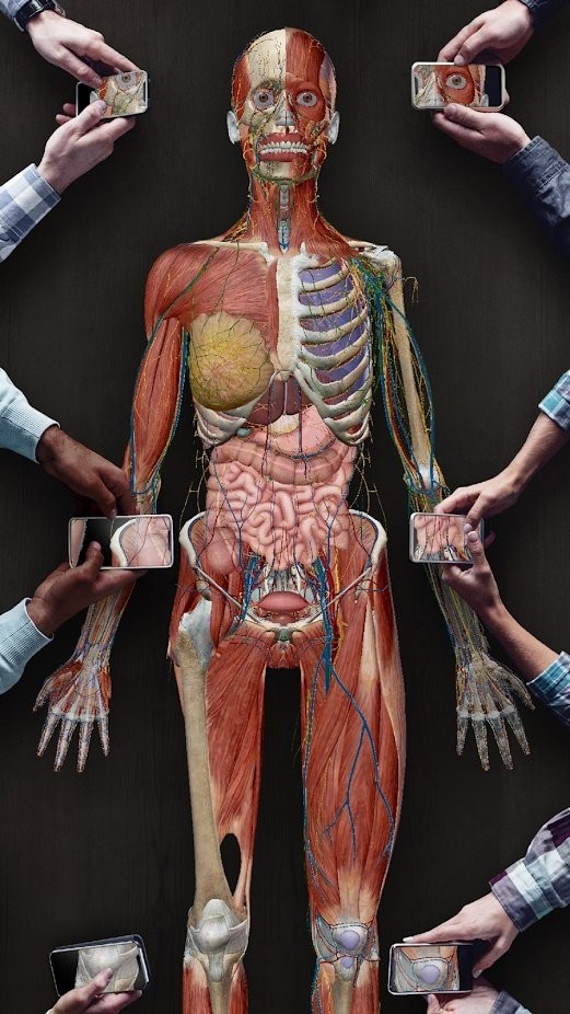 Human Anatomy Atlas 2021 中文版 Human Anatomy Atlas 手机版下载