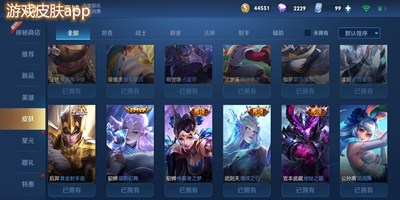 游戏皮肤app