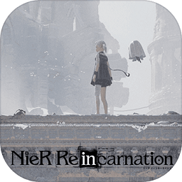 尼尔康乃馨日服(nier)