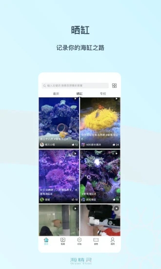 海精灵论坛