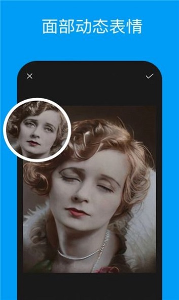 pixeleap app下载
