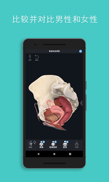 complete anatomy2025中文版 2025complete anatomy安卓下载