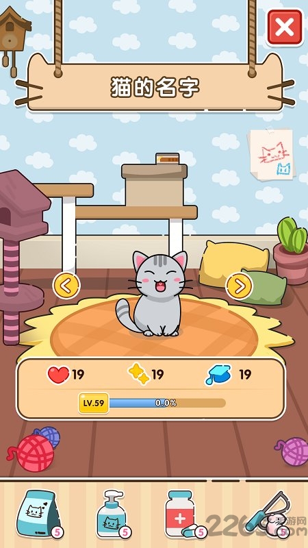 猫咪小舍手机版
