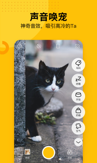 爪叽相机app
