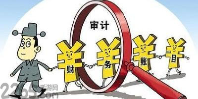 审计软件