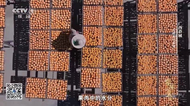 清风TV电视盒子