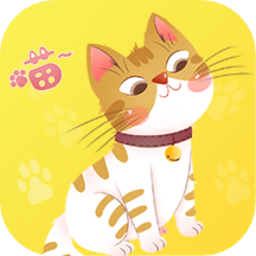 橙猫最新版