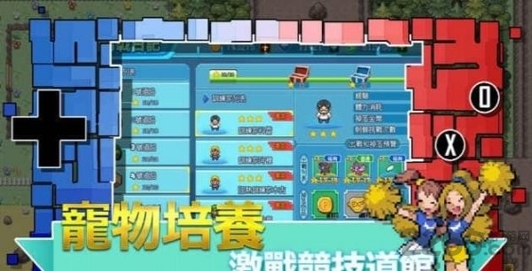 口袋新世界手游