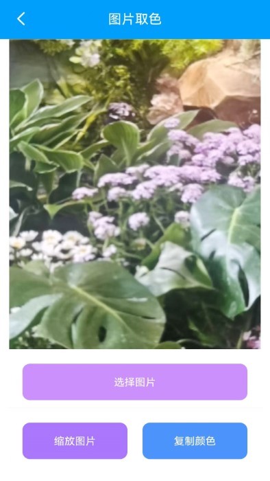 栋剧工具箱app