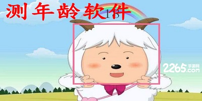 测年龄软件
