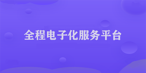 全程电子化服务平台
