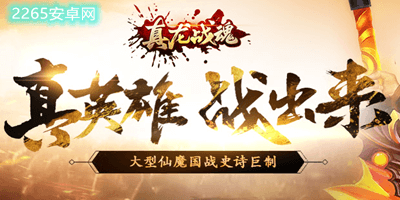 真龙战魂