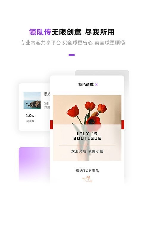 数字网红平台
