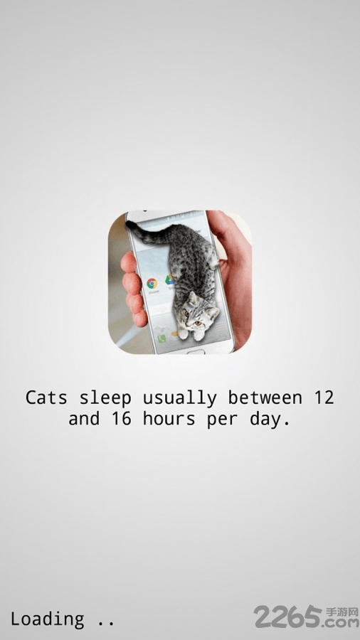 猫咪桌宠软件