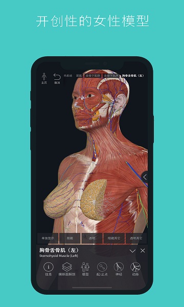 complete anatomy2025中文版