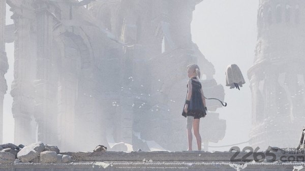 尼尔康乃馨日服(nier)