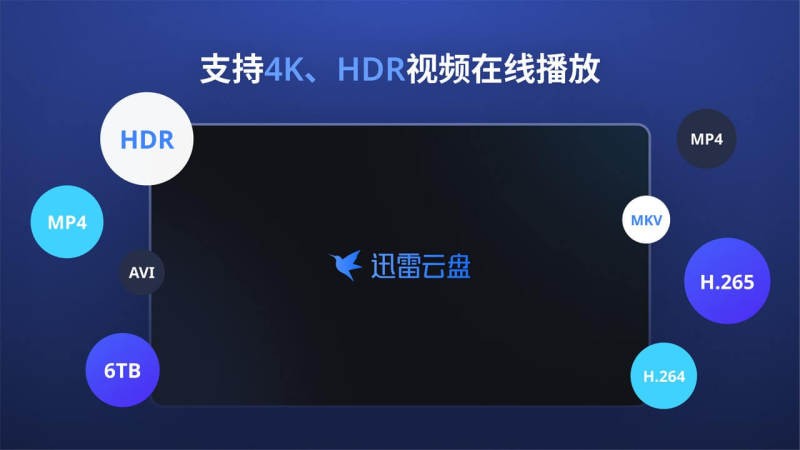 迅雷云盘电视版app