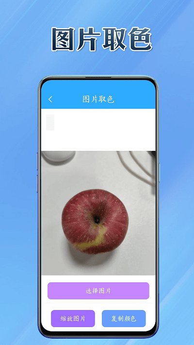 百宝兜app官方版