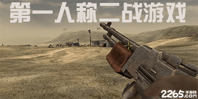 第一人称二战游戏