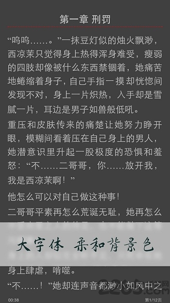 小说连载阅读器软件