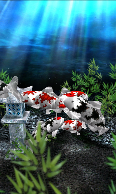 3D水族馆动态壁纸app下载
