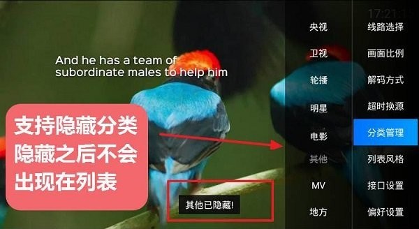 diyp影音手机版