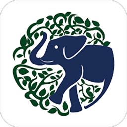 大脑派app