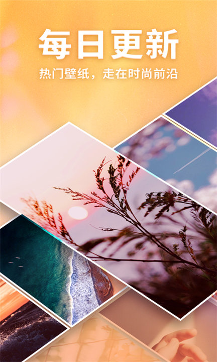 画壁高清壁纸app