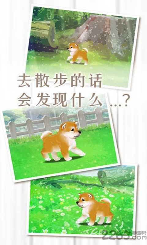 养育柴犬的治愈游戏 养育柴犬的治愈手游下载