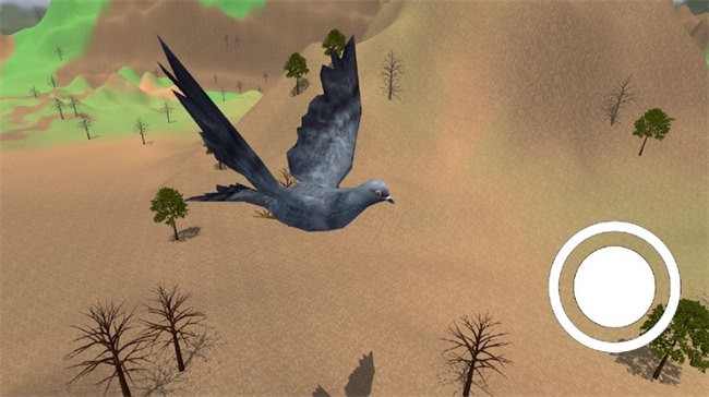 鸽子飞行模拟游戏(Pigeon bird flying sim game 3d)