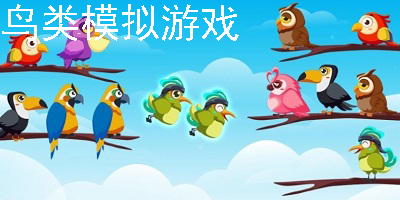 鸟类模拟游戏