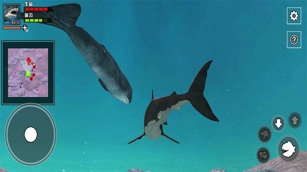 深海大鱼吃小鱼游戏