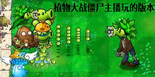 植物大战僵尸主播玩的版本