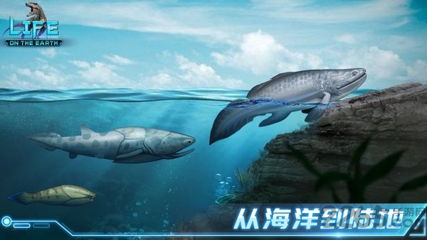生命简史古生物放置国际服