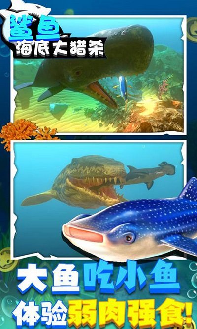 鲨鱼海底大猎杀游戏