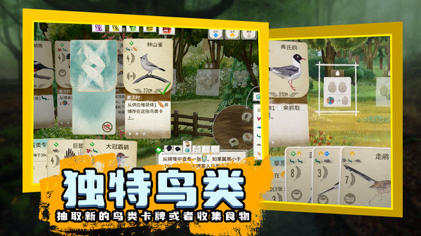 鸟类观察家最新版 鸟类观察家游戏下载