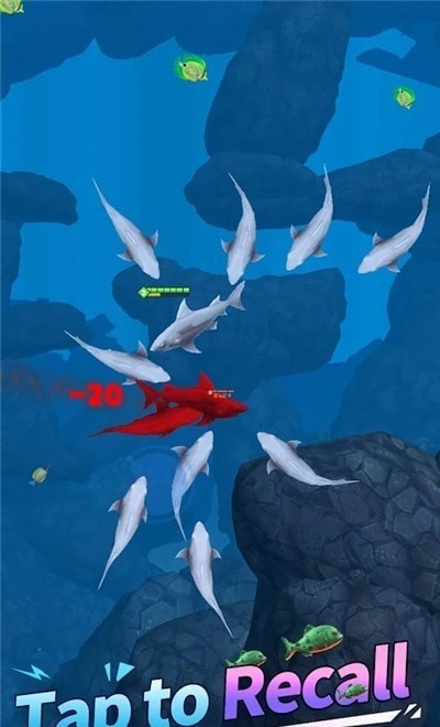 fish eater游戏