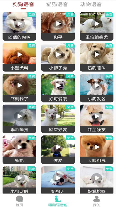 多多猫语狗语翻译器官方版