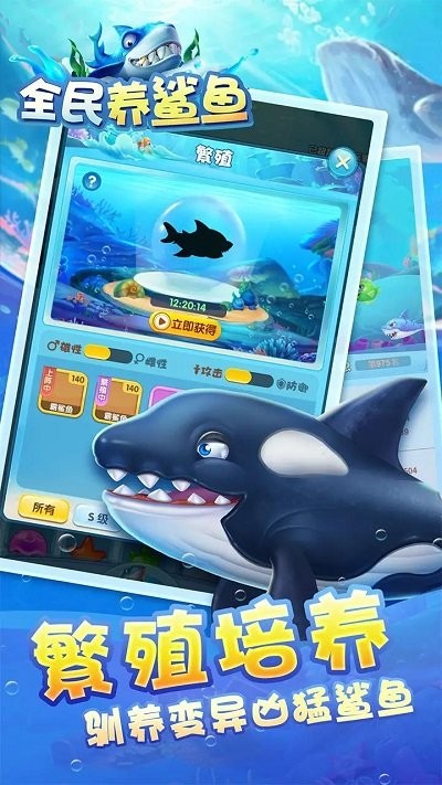 全民养鲨鱼手机版