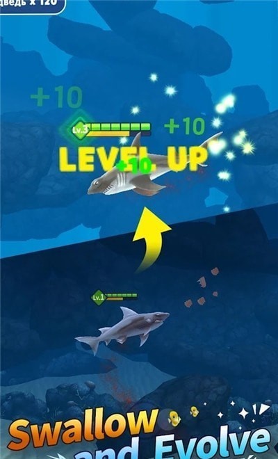 fish eater游戏